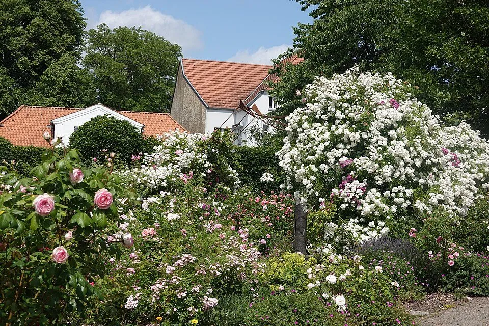 Rosarium